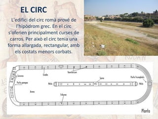 EL CIRC
L'edifici del circ romà prové de
l'hipòdrom grec. En el circ
s'oferien principalment curses de
carros. Per això el circ tenia una
forma allargada, rectangular, amb
els costats menors corbats.
 