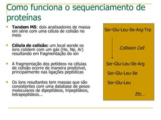 Como funciona o sequenciamento de proteínas Tandem MS : dois analisadores de massa em série com uma célula de colisão no meio Célula de colisão:  um local aonde os íons colidem com um gás (He, Ne, Ar) resultando em fragmentação do íon A fragmentação dos petídeos na células de colisão ocorre de maneira predizível, principalmente nas ligações peptídicas Os íons resultantes tem massas que são consistentes com uma database de pesos moleculares de dipeptídeos, tripeptídeos, tetrapeptídeos... Ser-Glu-Leu-Ile-Arg-Trp Collision Cell Ser-Glu-Leu-Ile-Arg Ser-Glu-Leu Ser-Glu-Leu-Ile Etc… 