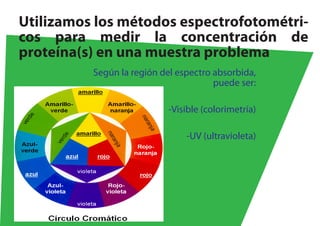Utilizamos los métodos espectrofotométri-
cos para medir la concentración de
proteína(s) en una muestra problema
          Según la región del espectro absorbida,
                                       puede ser:

                            -Visible (colorimetría)

                                -UV (ultravioleta)
 