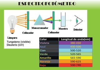 ESPECTROFOTÓMETRO




      Color      Longitud de onda(nm)
      Violeta           380-430
      Azul              430-500
      Cian              500-520
      Verde             520-565
      Amarillo          565-590
      Naranja           590-625
      Rojo              590-740
 