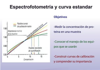 Espectrofotometría y curva estandar
                  Objetivos


                  -Medir la concentración de pro-
                  teina en una muestra


                  -Conocer el manejo de los equi-
                  pos que se usarán


                  -Construir curvas de calibración
                  y comprender su importancia
 