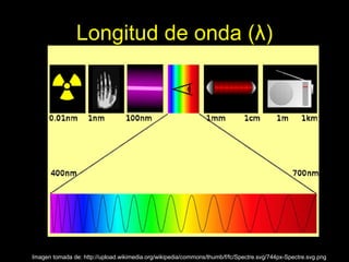 Longitud de onda (λ)




Imagen tomada de: http://upload.wikimedia.org/wikipedia/commons/thumb/f/fc/Spectre.svg/744px-Spectre.svg.png
 