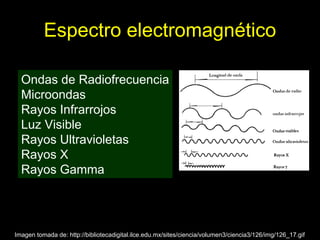 Espectro electromagnético

  Ondas de Radiofrecuencia
  Microondas
  Rayos Infrarrojos
  Luz Visible
  Rayos Ultravioletas
  Rayos X
  Rayos Gamma




Imagen tomada de: http://bibliotecadigital.ilce.edu.mx/sites/ciencia/volumen3/ciencia3/126/img/126_17.gif
 