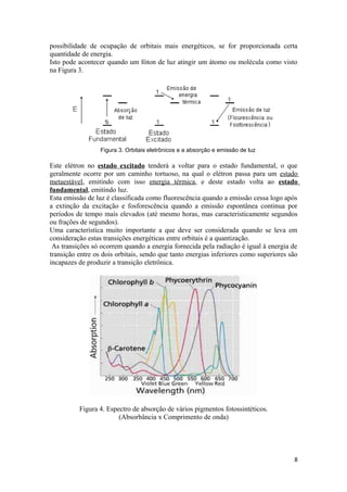 possibilidade de ocupação de orbitais mais energéticos, se for proporcionada certa
quantidade de energia.
Isto pode acontecer quando um fóton de luz atingir um átomo ou molécula como visto
na Figura 3.




                  Figura 3. Orbitais eletrônicos e a absorção e emissão de luz

Este elétron no estado excitado tenderá a voltar para o estado fundamental, o que
geralmente ocorre por um caminho tortuoso, na qual o elétron passa para um estado
metaestável, emitindo com isso energia térmica, e deste estado volta ao estado
fundamental, emitindo luz.
Esta emissão de luz é classificada como fluorescência quando a emissão cessa logo após
a extinção da excitação e fosforescência quando a emissão espontânea continua por
períodos de tempo mais elevados (até mesmo horas, mas caracteristicamente segundos
ou frações de segundos).
Uma característica muito importante a que deve ser considerada quando se leva em
consideração estas transições energéticas entre orbitais é a quantização.
 As transições só ocorrem quando a energia fornecida pela radiação é igual à energia de
transição entre os dois orbitais, sendo que tanto energias inferiores como superiores são
incapazes de produzir a transição eletrônica.




          Figura 4. Espectro de absorção de vários pigmentos fotossintéticos.
                        (Absorbância x Comprimento de onda)




                                                                                       8
 
