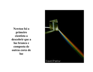 Newton foi o
   primeiro
  cientista a
descobrir que a
 luz branca e
 composta de
outras cores de
      luz
 