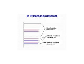 Os Processos de Absorção
 