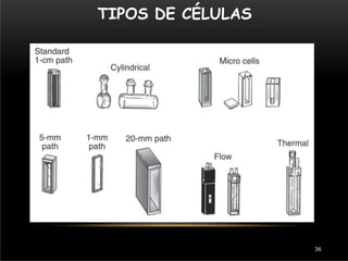 TIPOS DE CÉLULAS
36
 