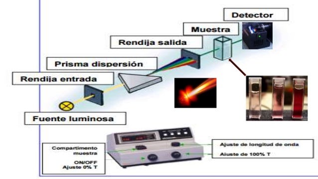 Aplicaciones De La Espectroscopia Uv Visible En La Industria Alimentaria