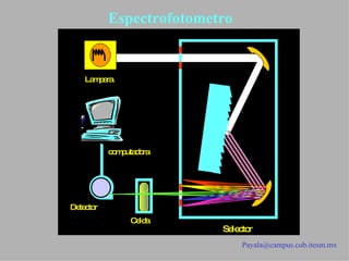 Espectrofotometro [email_address] Lampara Selector Celda Detector computadora 