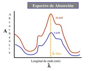 Espectro de Absorción Absorbancia Longitud de onda (nm)  A 25 mM 5 mM   Max 