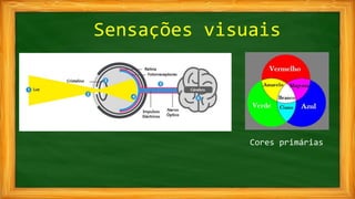 Sensações visuais
Cores primárias
 