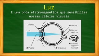 Luz
É uma onda eletromagnética que sensibiliza
nossas células visuais
 