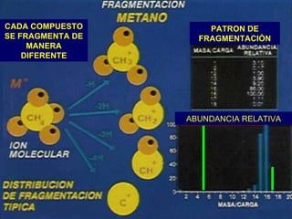 CADA COMPUESTO        PATRON DE
SE FRAGMENTA DE     FRAGMENTACIÓN
     MANERA
    DIFERENTE




                  ABUNDANCIA RELATIVA
 