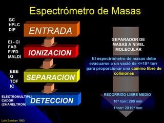 Espectrómetro de Masas
     GC
     HPLC
     DIP
                    ENTRADA
                                             SEPARADOR DE
    EI - CI
                                             MASAS A NIVEL
    FAB
                                              MOLECULAR
    FI/FD
    MALDI
                    IONIZACION
                                   El espectrómetro de masas debe
                                  evacuarse a un vació de <=10-4 torr
                                 para proporcionar una camino libre de
      EBE                                     colisiones
      Q
      TOF
                    SEPARACION
      IC

                                         RECORRIDO LIBRE MEDIO
ELECTROMULTIPLI
CADOR
(CHANELTRON)
                    DETECCION                 10-4 torr: 200 mm
                                              1 torr: 2X10-4 mm


Luís Esteban 1993
 