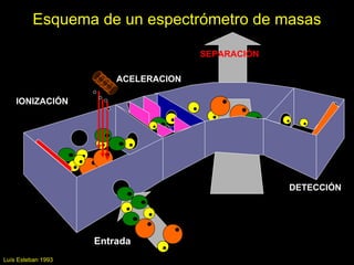 Esquema de un espectrómetro de masas

                                      SEPARACIÓN

                        ACELERACION

    IONIZACIÓN




                                                   DETECCIÓN




                    Entrada
Luís Esteban 1993
 