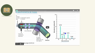 Espectrometria de masas | PDF