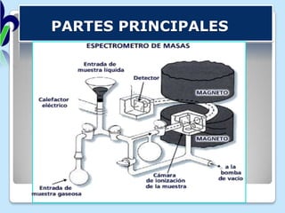 PARTES PRINCIPALES

 