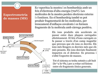 Espectrometria
de masses (MS)
Es vaporitza la mostra i es bombardeja amb un
feix d'electrons d'alta energia (70eV). Les
molècules de la mostra perden electrons externs
i s'ionitzen. En el bombardeig també es pot
produir fragmentació de les molècules, per
trencament d'enllaços covalents i es formen
fragments de la molècula amb càrrega positiva.
Els ions produïts són accelerats en
passar entre dues plaques carregades
elèctricament. El feix d'ions carregats es
fa passar a través d'un camp magnètic
que provoca que els ions es desviïn. Els
ions més lleugers es desvien més que els
més pesants. Els ions desviats finalment
impacten en el detector. Es processa i
s'obté l'espectre de masses.
Tot el sistema es troba sotmès a alt buit
(l0-2 a l0-3Pa.) per a evitar col·lisions
entre els fragments iònics generats.
 