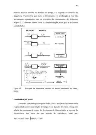42
primeira técnica trabalha no domínio de tempo, e a segunda no domínio de
frequência. Fluorimetria por pulso e fluorimetria por modulação e fase são
teoricamente equivalentes, mas os princípios dos instrumentos são diferentes
(Figura 3.7). Somente iremos tratar de fluorimetria por pulso, pois a utilizamos
neste trabalho.
Figura 3.7. Princípios de fluorimetria resolvida no tempo (modificado de Valeur,
2005).
Fluorimetria por pulso
A amostra é excitada por um pulso de luz curto e a resposta da fluorescência
é apresentada como uma função do tempo. Se a duração do pulso é longa em
relação às constantes de tempo do decaimento da fluorescência, a resposta da
fluorescência será dada por um produto de convolução, dado por:
∫∞
−
−
=
⊗
=
t
dt
t
t
I
t
E
t
I
t
E
t
R '
)
'
(
)
'
(
)
(
)
(
)
(
PUC-Rio
-
Certificação
Digital
Nº
0521275/CA
 