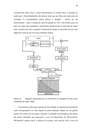 46
excitada pelo pulso ótico e emite fluorescência. O sistema ótico é ajustado de
modo que o fotomultiplicador não detecte mais que um fóton por cada pulso de
excitação. O correspondente pulso elétrico é dirigido – através de um
discriminador – para a entrada do sinal de parada do TAC. Este último gera um
pulso de saída cuja amplitude é diretamente proporcional ao intervalo de tempo
entre os pulsos de início e parada. O intervalo de tempo é convertido em um valor
digital por meio de um conversor analógico-digital.
Figura 3.9. Diagrama esquemático de um fluorímetro de contagem de fóton único
(modificado de Valeur, 2005).
O analisador multicanal aumenta de uma unidade o conteúdo da memória do
canal correspondente ao valor digital do pulso detetado. Depois de um grande
número de eventos de excitação e deteção, é montado um histograma das alturas
dos pulsos detetados que representa a curva de decaimento da fluorescência.
Obviamente, quanto maior o número de eventos, mais precisa será a curva de
PUC-Rio
-
Certificação
Digital
Nº
0521275/CA
 