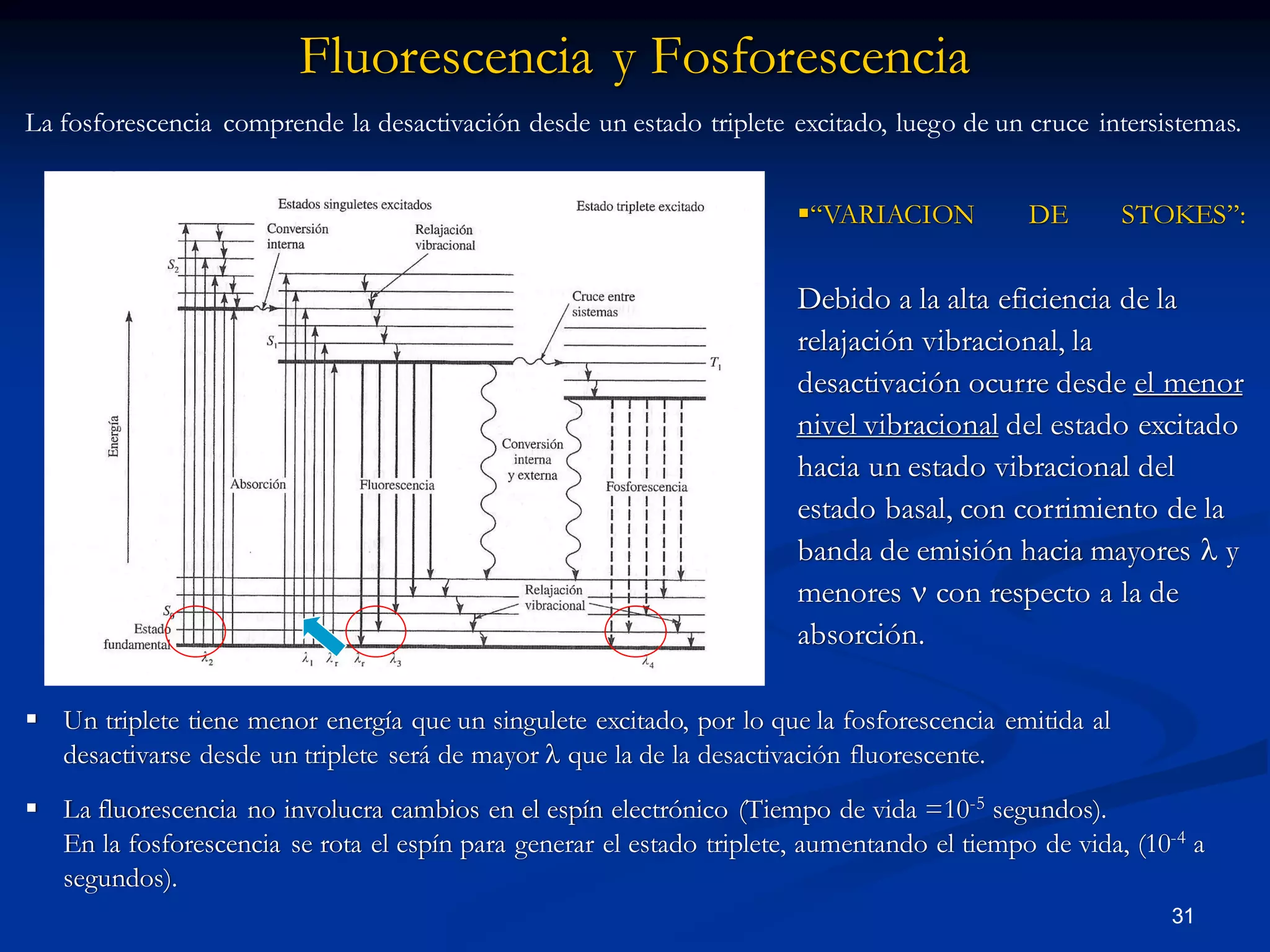 Fluorescencia y Fosforescencia
“VARIACION DE STOKES”:
Debido a la alta eficiencia de la
relajación vibracional, la
desactivación ocurre desde el menor
nivel vibracional del estado excitado
hacia un estado vibracional del
estado basal, con corrimiento de la
banda de emisión hacia mayores l y
menores  con respecto a la de
absorción.
 Un triplete tiene menor energía que un singulete excitado, por lo que la fosforescencia emitida al
desactivarse desde un triplete será de mayor l que la de la desactivación fluorescente.
 La fluorescencia no involucra cambios en el espín electrónico (Tiempo de vida =10-5 segundos).
En la fosforescencia se rota el espín para generar el estado triplete, aumentando el tiempo de vida, (10-4 a
segundos).
31
La fosforescencia comprende la desactivación desde un estado triplete excitado, luego de un cruce intersistemas.
 
