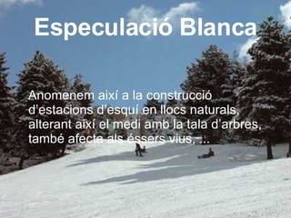Especulació Blanca Anomenem així a la construcció d’estacions d’esquí en llocs naturals, alterant així el medi amb la tala d’arbres, també afecta als éssers vius, ... 