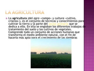    La agricultura (del agro «campo» y cultura «cultivo,
    crianza»), es el conjunto de técnicas y conocimientos para
    cultivar la tierra y la parte del sector primario que se
    dedica a ello. En ella se engloban los diferentes trabajos de
    tratamiento del suelo y los cultivos de vegetales.
    Comprende todo un conjunto de acciones humanas que
    transforma el medio ambiente natural, con el fin de
    hacerlo más apto para el crecimiento de las siembras
 