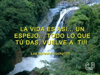 LA VIDA ES ASí... UN ESPEJO... TODO LO QUE TÚ DAS, VUELVE A  TI!!   Los aprecio mucho!!!!!   C.P 