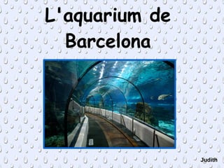 L'aquarium de
Barcelona
Judith
 