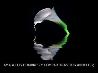 AMA A LOS HOMBRES Y COMPARTIRAS TUS ANHELOS;
 