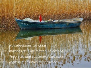 No subestimes tus gotas:
millones de ellas forman un océano.
Todo acto que con amor realizamos,
regresa a nosotros multiplicado"
 