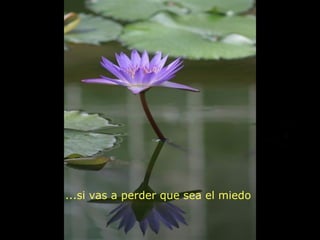 ...si vas a perder que sea el miedo
 