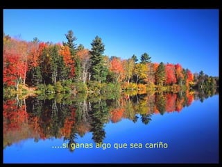 ....si ganas algo que sea cariño
 