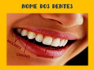 NOME DOS DENTES
 