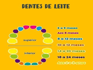 DENTES DE LEITE
 