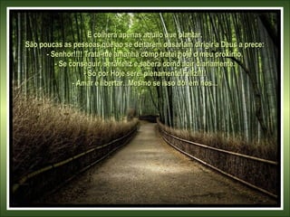 E colherá apenas aquilo que plantar.E colherá apenas aquilo que plantar.
São poucas as pessoas que ao se deitarem ousariam dirigir a Deus a prece:São poucas as pessoas que ao se deitarem ousariam dirigir a Deus a prece:
- Senhor!!!! Trata-me amanhã como tratei hoje o meu próximo.- Senhor!!!! Trata-me amanhã como tratei hoje o meu próximo.
- Se conseguir, será feliz e saberá como agir diariamente.- Se conseguir, será feliz e saberá como agir diariamente.
- Só por Hoje serei plenamente Feliz!!!!- Só por Hoje serei plenamente Feliz!!!!
- Amar é libertar...Mesmo se isso dói em nós...- Amar é libertar...Mesmo se isso dói em nós...
 