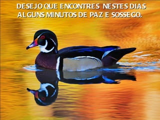     DE SE JO QUE E NCONTRE S NE STE S DIAS
    ALGUNS MINUTOS DE PAZ E SOSSE GO.
 