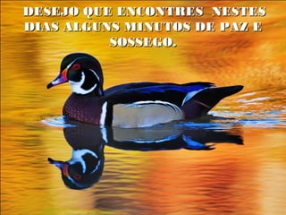 DESEJO QUE ENCONTRES NESTES
DIAS ALGUNS MINUTOS DE PAZ E
SOSSEGO.
