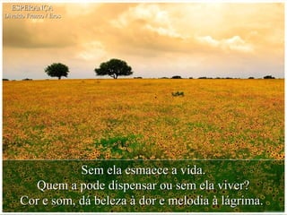 Sem ela esmaece a vida.Sem ela esmaece a vida.
Quem a pode dispensar ou sem ela viver?Quem a pode dispensar ou sem ela viver?
Cor e som, dá beleza à dor e melodia à lágrima.Cor e som, dá beleza à dor e melodia à lágrima.
ESPERANÇAESPERANÇA
Divaldo Franco / ErosDivaldo Franco / Eros
 