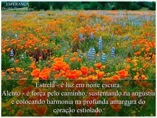 Estrela - é luz em noite escura.Estrela - é luz em noite escura.
Alento - é força pelo caminho, sustentando na angústiaAlento - é força pelo caminho, sustentando na angústia
e colocando harmonia na profunda amargura doe colocando harmonia na profunda amargura do
coração estiolado.coração estiolado.
ESPERANÇAESPERANÇA
Divaldo Franco / ErosDivaldo Franco / Eros
 