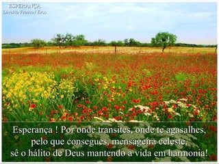 Esperança ! Por onde transites, onde te agasalhes,Esperança ! Por onde transites, onde te agasalhes,
pelo que consegues, mensageira celeste,pelo que consegues, mensageira celeste,
sê o hálito de Deus mantendo a vida em harmonia!sê o hálito de Deus mantendo a vida em harmonia!
ESPERANÇAESPERANÇA
Divaldo Franco / ErosDivaldo Franco / Eros
 