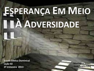 ESPERANÇA EM MEIO
À ADVERSIDADE
Escola Bíblica Dominical
Lição 02
3º trimestre 2013
Montagem Slides:
José Pereira Filho
 