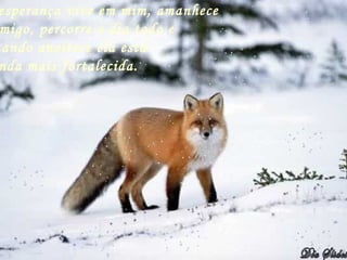 esperança vive em mim, amanhece
migo, percorre o dia todo e
uando anoitece ela está
nda mais fortalecida.
 