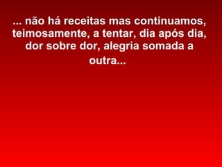 ... não há receitas mas continuamos, teimosamente, a tentar, dia após dia, dor sobre dor, alegria somada a outra...   