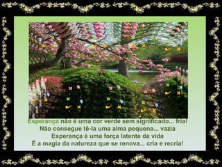   Esperança  não é uma cor verde sem significado... fria! Não consegue tê-la uma alma pequena... vazia Esperança é uma força latente da vida É a magia da natureza que se renova... cria e recria! 