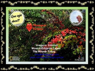 Imagens: Internet Música: Eduardo Lages  The Winner Takes  It Al [email_address] www.mensagensvirtuais.com.br 