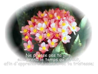 Esperance