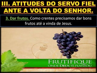 3. Dar frutos. Como crentes precisamos dar bons
frutos até a vinda de Jesus.
 