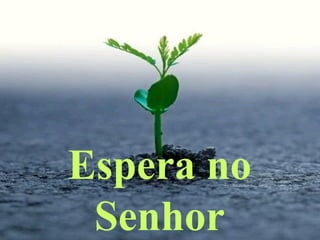 Espera no
Senhor
 