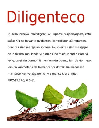 Esperanto Motivational Diligence Tract.pdf